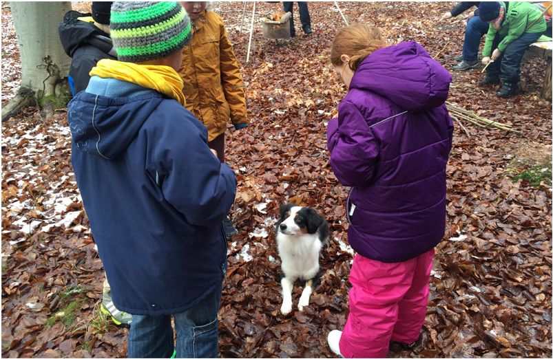 Winterwald-Wanderung am 16.01.2016